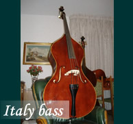 double bass/